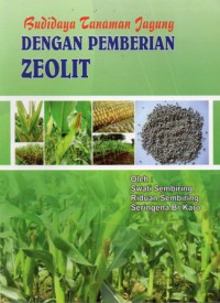 Budi Daya Tanaman Jagung Dengan Pemberin Zeolit